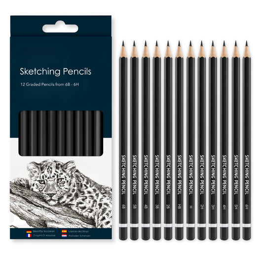 Sketching Pencils Set – 12 Graded Graphite Pencils (6B to 6H) for Drawing & Shading